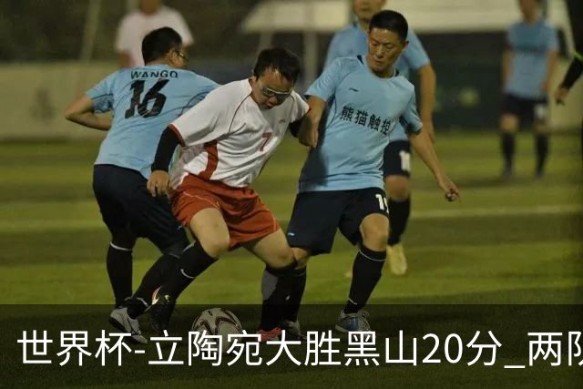 世界杯-立陶宛大胜黑山20分 两队携手晋级16强