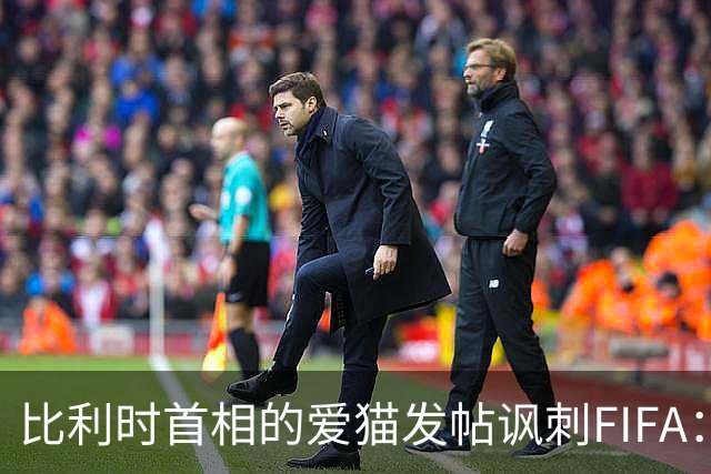 比利时首相的爱猫发帖讽刺FIFA：“红牌？”我照样继续踢！